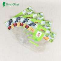 High-performance stand up pouch with zipper for Fruit Packaging Bag