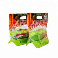 Dongguan wholesale oem self standing up plastic frozen fruit bag